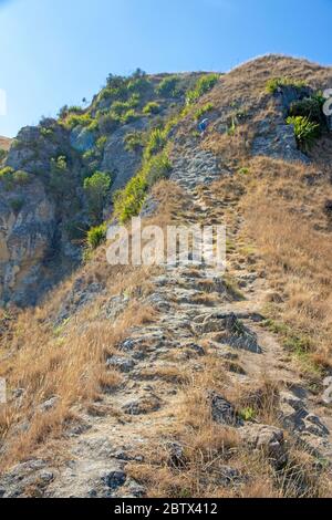 Hiker on Te Mata Peak Stock Photo