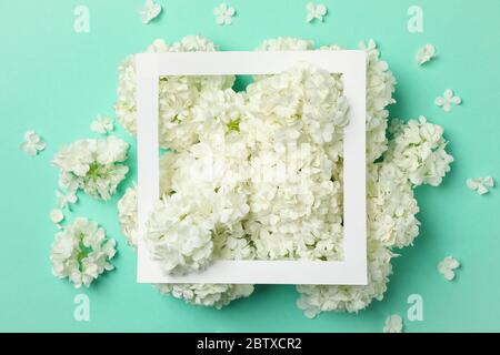 Frame and beautiful hydrangea flowers on mint background Stock Photo