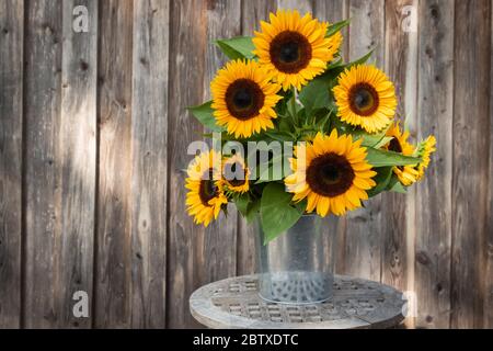Beautiful sunflower bunch in front of a wooden wall with lots of space for text (copy-space). Germany Stock Photo