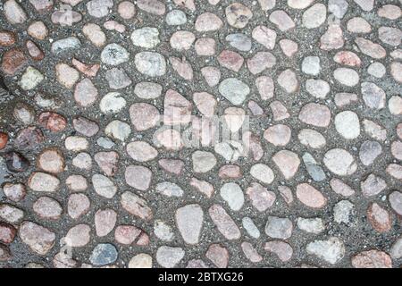 The road of the many river stones. Summer background for design. Abstraction in nature. Stock Photo