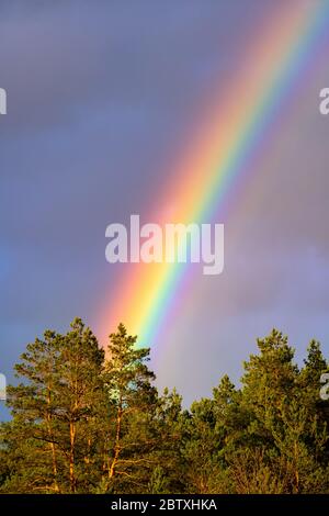 Beautiful rainbow spectrum in the sky after rain. Colourful phenomena in the clouds. Nobody Stock Photo