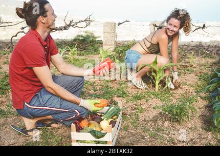 Happy young couple working together harvesting fresh fruits and vegetables in farm garden house - Agriculture and vegetarian lifestyle people concept