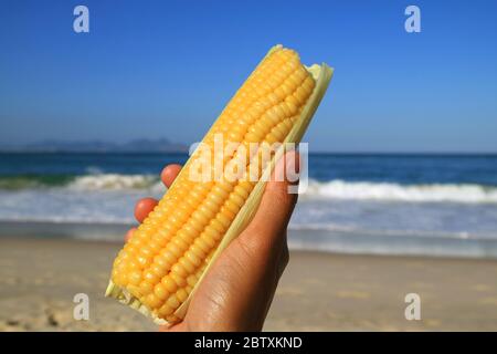 Delicious steamed corn on the cob in hand against wavy sea Stock Photo