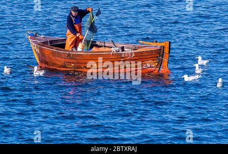 Vitte, Germany. 25th May, 2020. Fishermen in the harbour on the Baltic Sea island of Hiddensee. Credit: Jens Büttner/dpa-Zentralbild/ZB/dpa/Alamy Live News Stock Photo