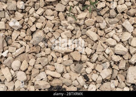 Crushed gravel as background or texture ,Background of granite gravel Stock Photo