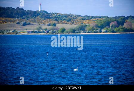 Vitte, Germany. 25th May, 2020. The lighthouse of the Baltic Sea island of Hiddensee can be seen from the Baltic Sea. Credit: Jens Büttner/dpa-Zentralbild/ZB/dpa/Alamy Live News Stock Photo