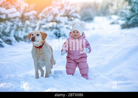 Portrait of a little baby girl with a dog on the snow in the forest in winter. Baby and dog are best friends. Stock Photo