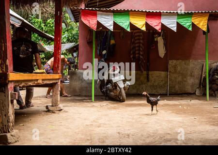 BALI, INDONESIA - November 30, 2019: Courtyard in traditional balinese house. Typical multi family house Stock Photo