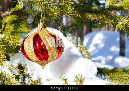 Christmas decoration on a real Christmas tree. Christmas red and gold ball hanging on a snow-covered fir branch in the winter forest. Natural style. Stock Photo