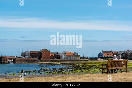 North Berwick, East Lothian, Scotland, United Kingdom, 28th May 2020. Easing of lockdown restrictions: with the Scottish Government set to announce the lifting of some lockdown restrictions today, there are already signs that things are beginning to return to normal in the popular seaside town. An older couple sit on a bench to admire the view across the bay and harbour and relax in the warm weather Stock Photo