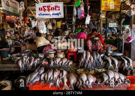 Fish market, Myitkyina, Kachin state, Myanmar (Burma), Asia Stock Photo