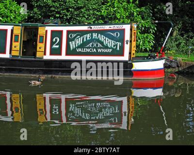 503490 ,B1420 White Harriet Valencia Wharf narrowboat ,barge on canal , Cheshire, England, UK, reflection Stock Photo