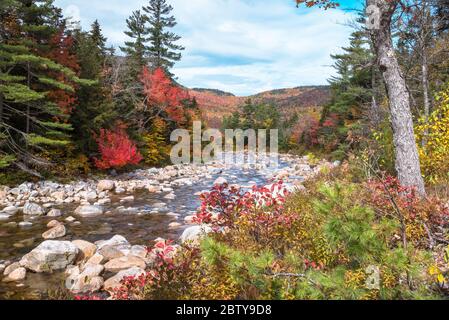 River winding its way through forested mountains at the peak of fall foliage on a sunny autumn day Stock Photo