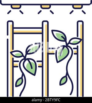 Vertical garden RGB color icon Stock Vector