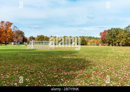 Deserted football pitch covered in  leaves in a park on a sunny autumn day. Autumn colours. Stock Photo