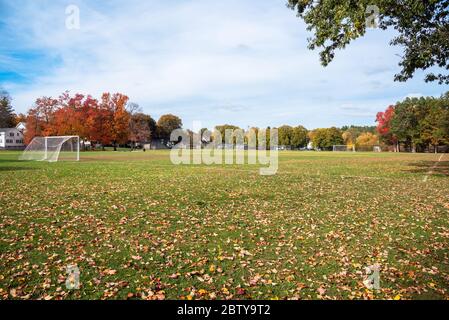 View of an empty football pitch with goals and net in a public park on a sunny autumn moning. The pitch is covered in fallen leaves. Stock Photo