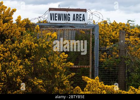 A rusty metal Sign saying viewing area covered in gorse Stock Photo