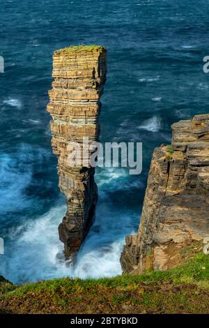 North Gaulton Castle sea stack on the wild west coast of Orkney, Scotland, United Kingdom, Europe Stock Photo