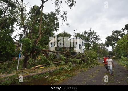 After-effects of the tropical super cyclonic storm Amphan that hit on 20th May 2020 and the 57th day of nationwide continuous lockdown due to Covid-19, in the southern West Bengal. It caused 2000 trees and 70 electric poles uprooted and broadband, electricity, water supply, cable TV stopped,  mobile mobile connectivity hampered. A flash flood also occurred due to heavy rain of 200mm. (Photo by Biswarup Ganguly/Pacific Press/Sipa USA) Stock Photo