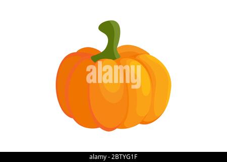 Pumpkin colorful icon on white Stock Vector