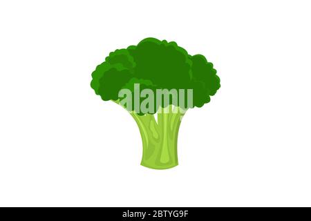 Fresh broccoli icon on white.  Stock Vector