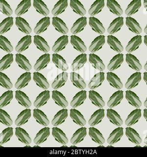 Vector seamless pattern with healthy chinese napa cabbage, vector illustration Stock Vector