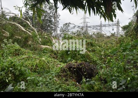 Howrah, India. 21st May, 2020. After-effects of the tropical super cyclonic storm Amphan that hit on 20th May 2020 and the 57th day of nationwide continuous lockdown due to Covid-19, in the southern West Bengal. It caused 2000 trees and 70 electric poles uprooted and broadband, electricity, water supply, cable TV stopped, mobile mobile connectivity hampered. A flash flood also occurred due to heavy rain of 200mm. (Photo by Biswarup Ganguly/Pacific Press/Sipa USA) Credit: Sipa USA/Alamy Live News Stock Photo