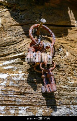 Set of old rusty keys hanging on a nail on a wooden beam, Ariege, French Pyrenees, Pyrenees, France Stock Photo