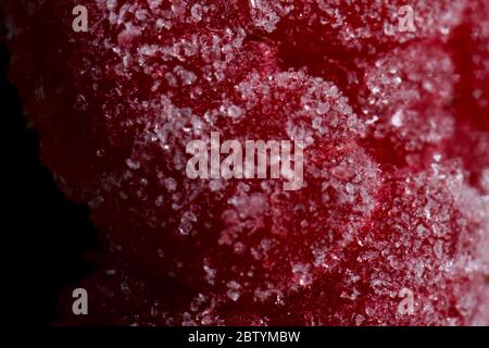Super macro detail close up of frozen deep red raspberry  with ice crystals. Stock Photo