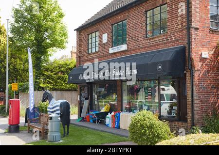 Chobham Rider saddlery and tack shop in the village of Chobham, Surrey, England, UK Stock Photo
