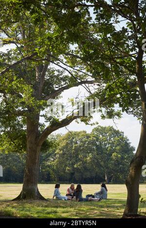 Gerrards Cross Common, Buckinghamshire Stock Photo