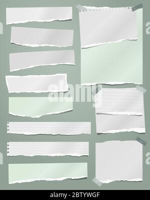 Torn white note, notebook paper strips and pieces stuck on green background. Vector illustration Stock Vector
