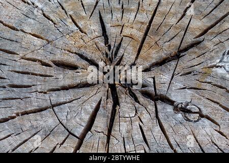 Old Weathered Cracked Wood Texture Stock Photo