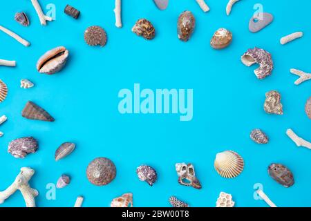 Top view of seashells on a blue background with space for text in the center. Beach, summer vacation and travel concept. Stock Photo