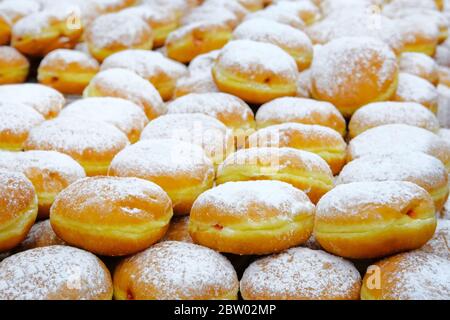 Lot of donuts with berry jam and powdered sugar on counter in shop. Donuts are for sale. Stock Photo