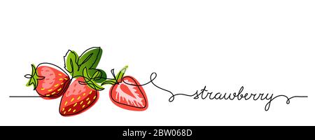 Strawberry vector color illustration, background, banner for label design. One continuous line drawing of strawberry with lettering. Editable black Stock Vector