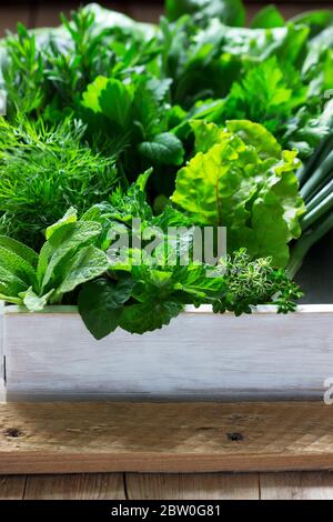 A variety of spicy herbs, salad and green onions on a wooden background. Rustic style. Stock Photo