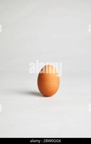A single brown egg stands upright against a white studio background. Stock Photo