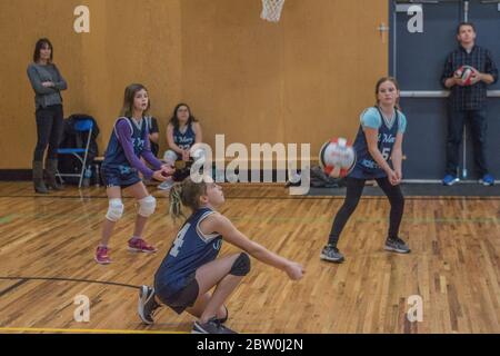 Girls volley-ball, 8 to 10 years old, accepting serve and trying to set for returning the ball. Stock Photo