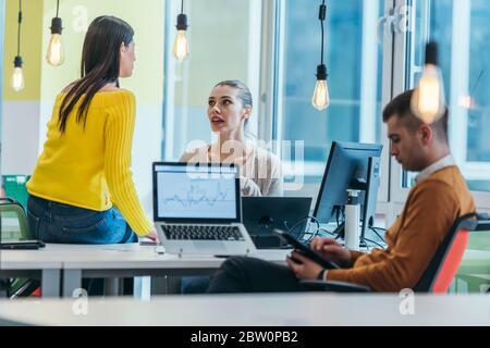 Group of professional coworkers ( team ) working on a desk in a modern office on their laptops while talking to each other. Business photo. Stock Photo