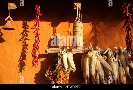 Harvest time - Stock Photo