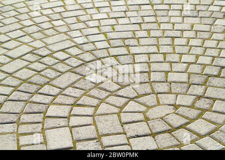 Symmetrical pattern of sidewalk tile with green moss .Grey pavement stone texture Stock Photo