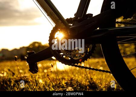 Pedals on the bike. Close-up speed control asterisk at sunset Stock Photo