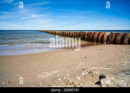 wooden piles overgrown with seaweed in the sea Stock Photo