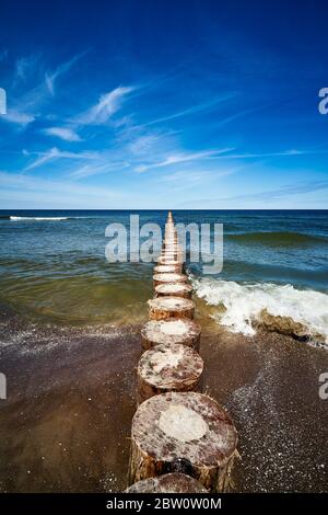 wooden piles overgrown with seaweed in the sea Stock Photo