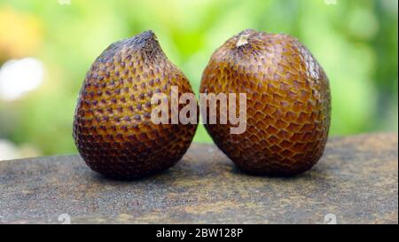 Close up the snake fruit on the table Stock Photo