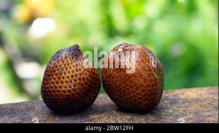 Close up the snake fruit on the table Stock Photo