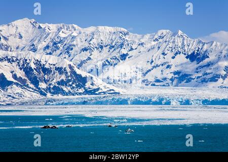 Hubbard Glacier in Yakutat Bay, Gulf of Alaska, Southeast Alaska, United States, North America Stock Photo