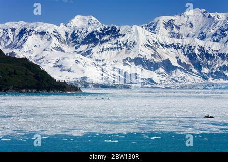 Hubbard Glacier in Yakutat Bay, Gulf of Alaska, Southeast Alaska, United States, North America Stock Photo