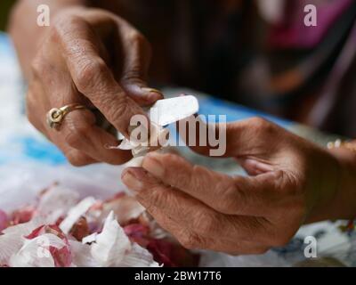 A woman is holding and peeling garlic using a knife Stock Photo